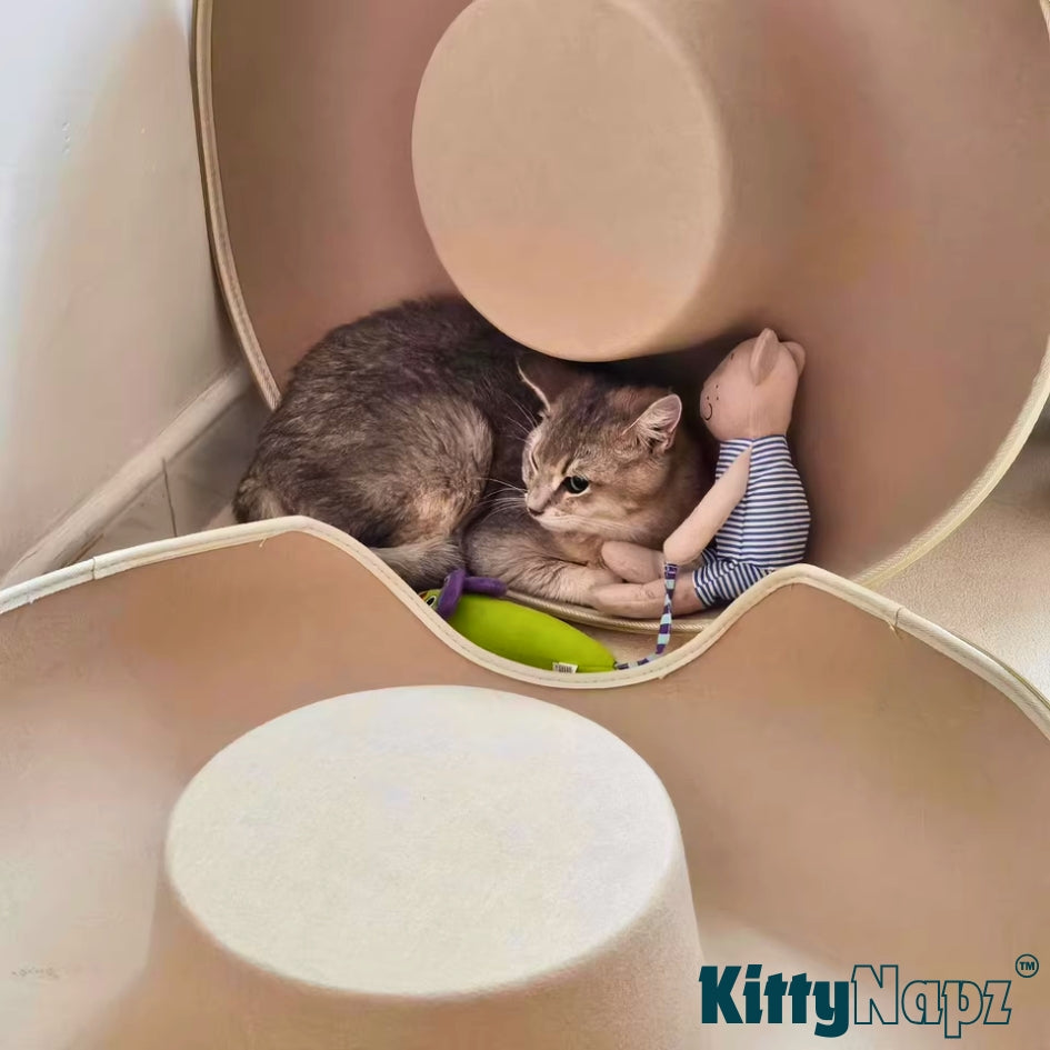 Kitty Napz Cozy Tunnel Bed